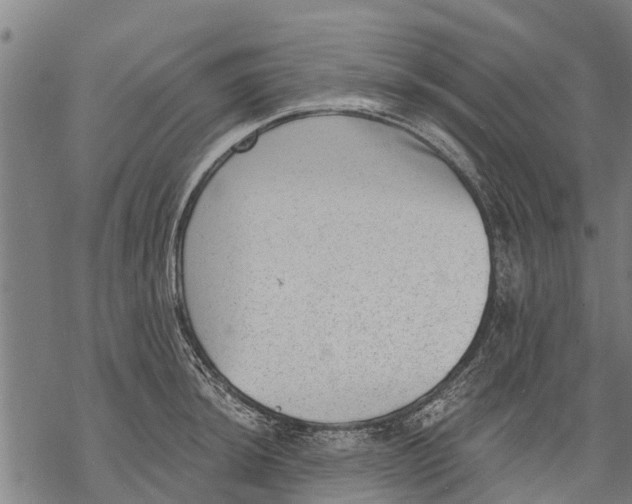 X0000068831044200605261610