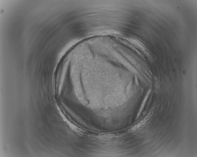 X0000068831046200605261610