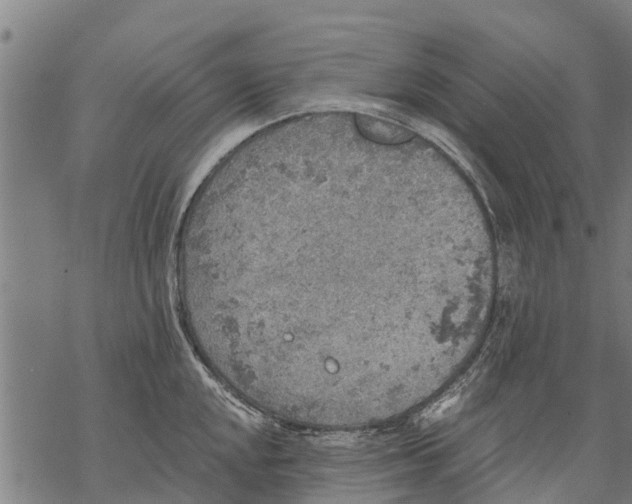 X0000068831048200605261610