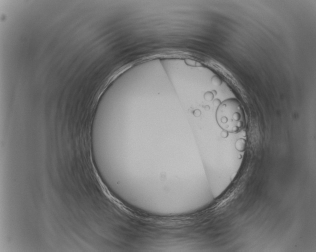 X0000068831049200605261610