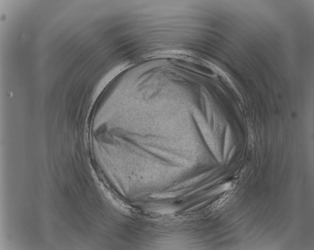 X0000068831050200605261611