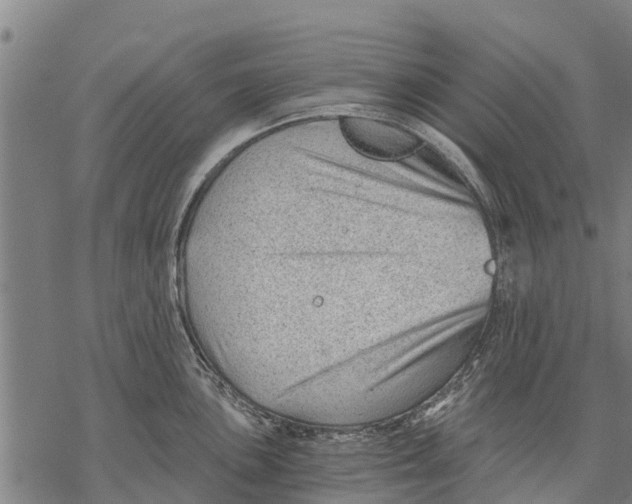 X0000068831051200605261611