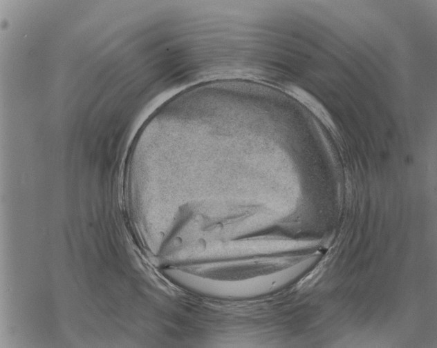 X0000068831052200605261611