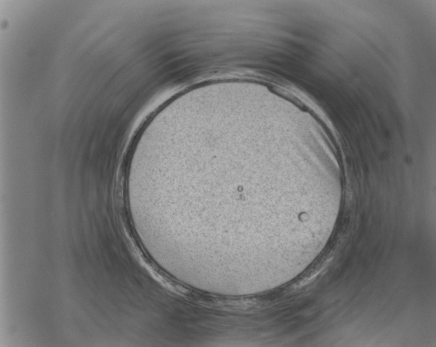 X0000068831053200605261611