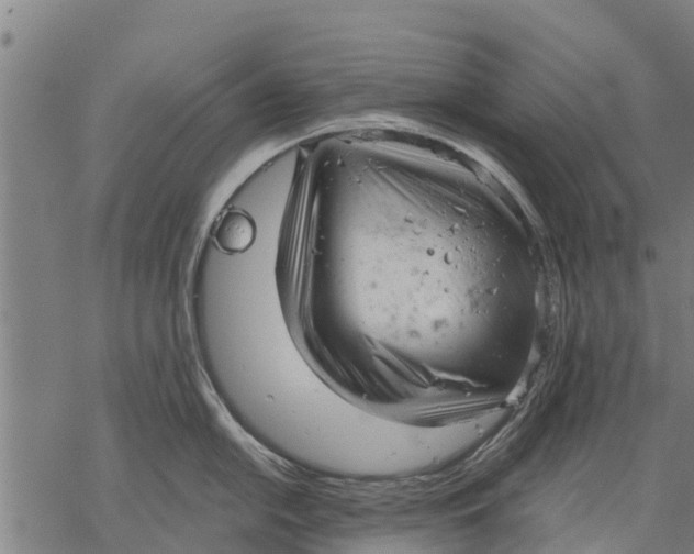 X0000068831054200605261611