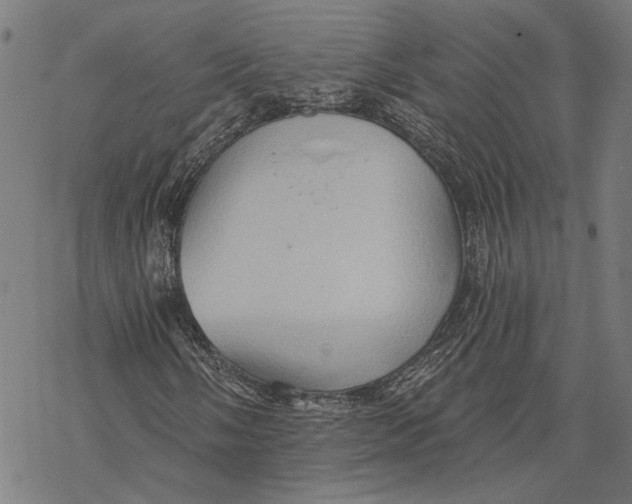 X0000068831058200605261610