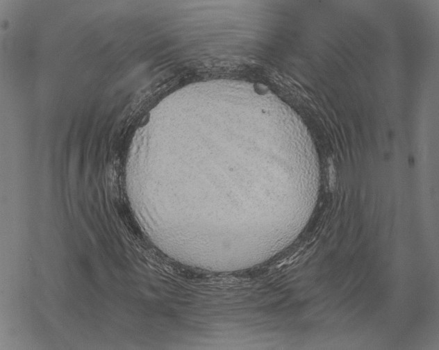 X0000068831059200605261610