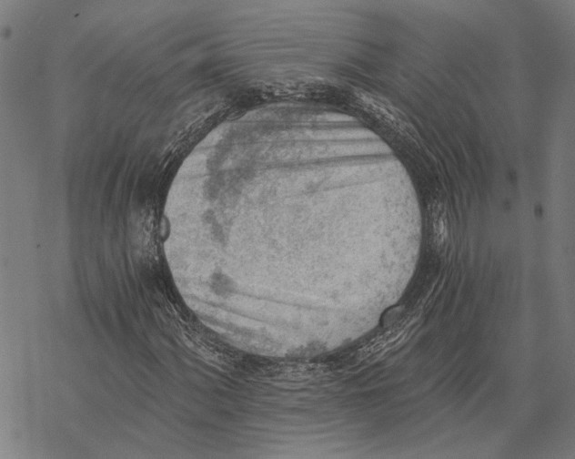 X0000068831060200605261610