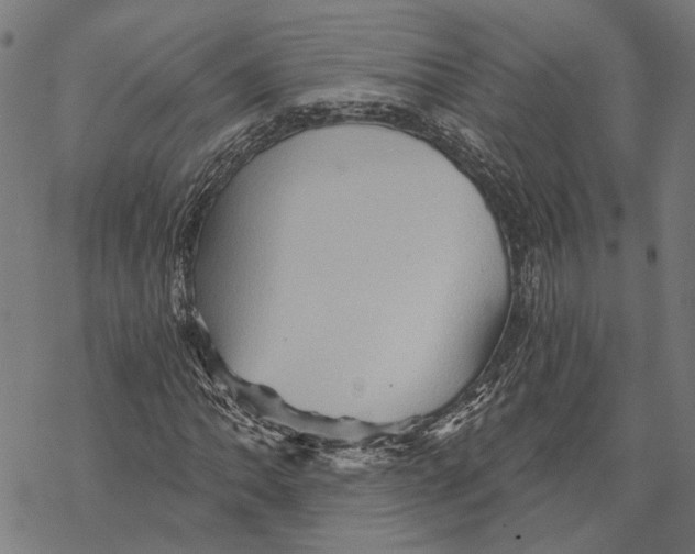 X0000068831062200605261610