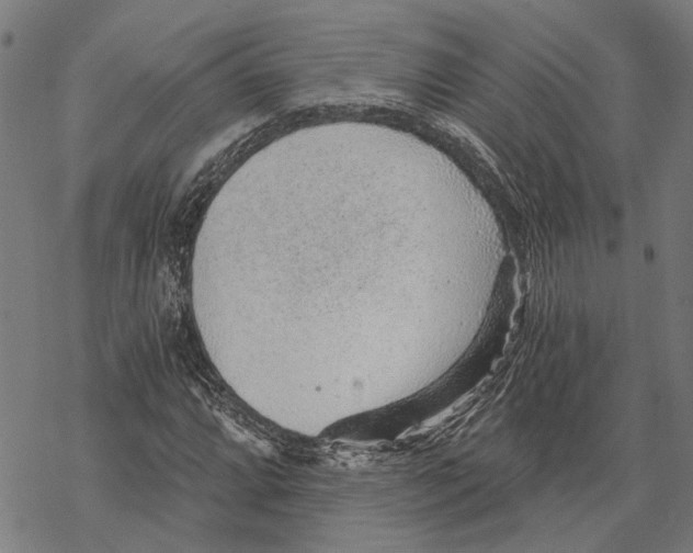 X0000068831064200605261610