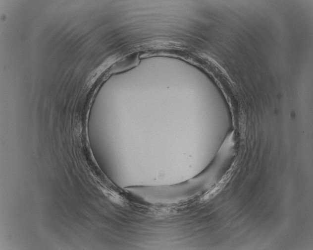 X0000068831065200605261610