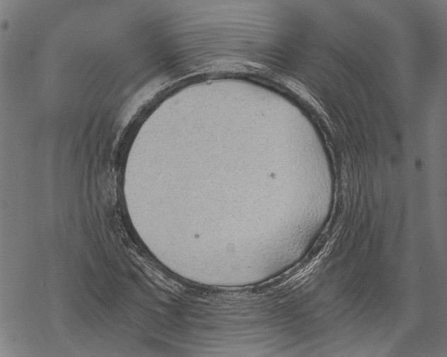 X0000068831067200605261610