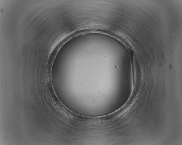 X0000068831069200605261610