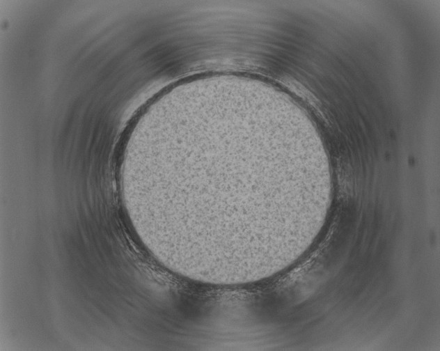 X0000068831070200605261610