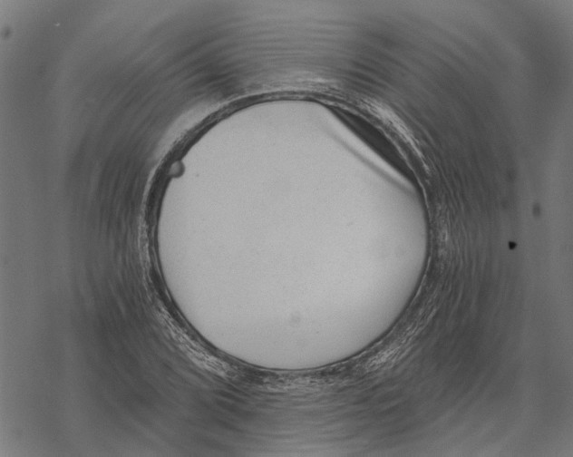 X0000068831072200605261610