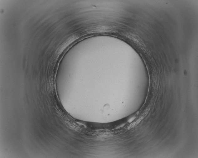 X0000068831073200605261610