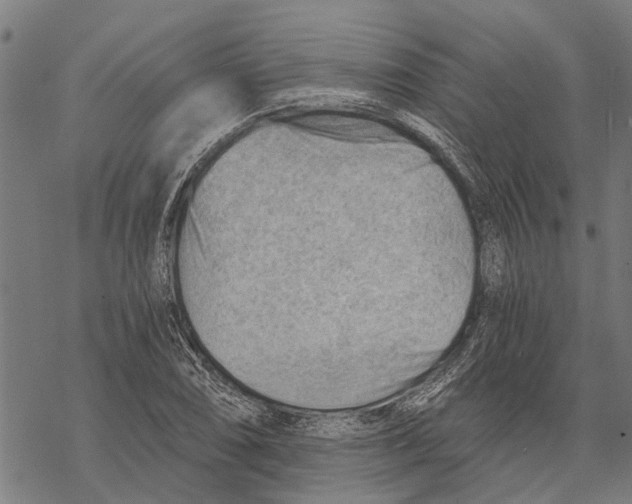 X0000068831074200605261610