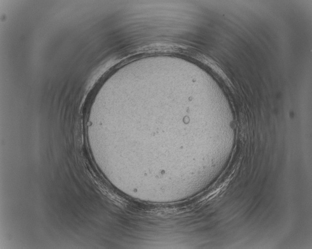 X0000068831075200605261610