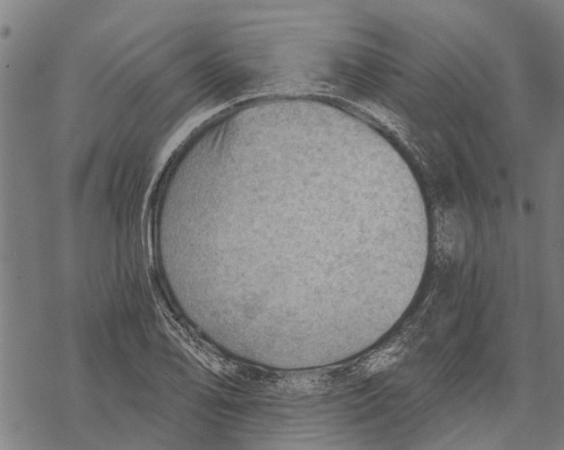 X0000068831078200605261609