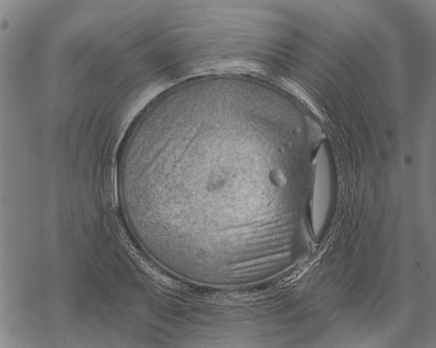 X0000068831079200605261609