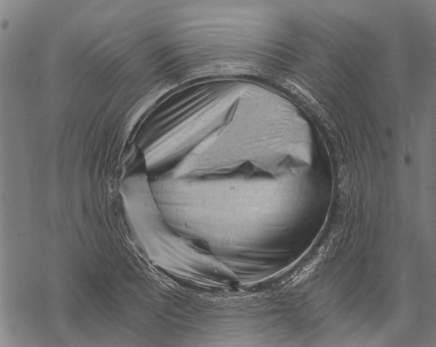 X0000068831081200605261609