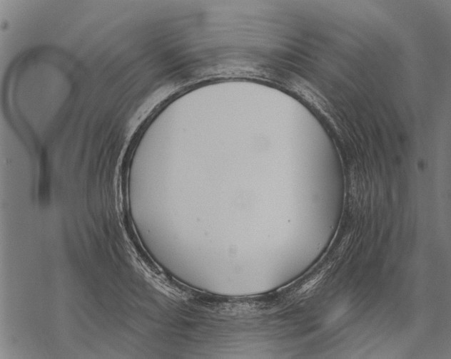 X0000068831082200605261609