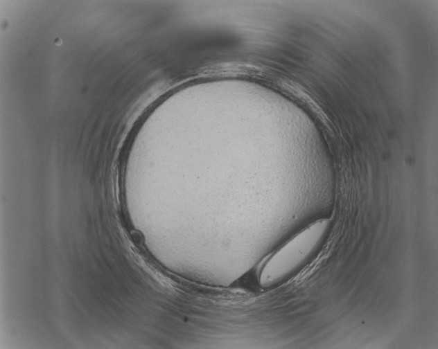 X0000068831083200605261609