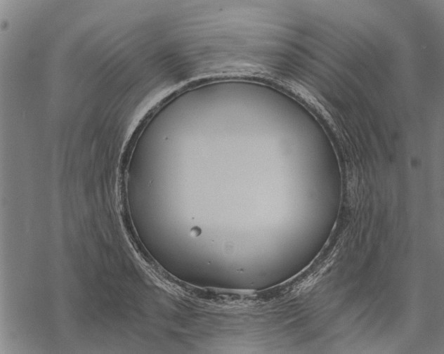 X0000068831085200605261609