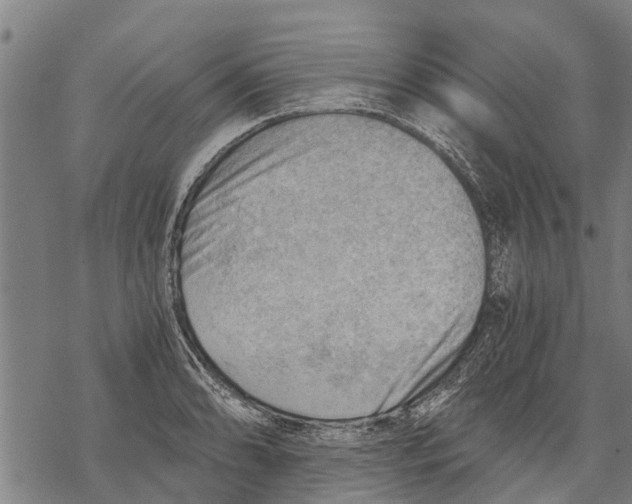 X0000068831086200605261609