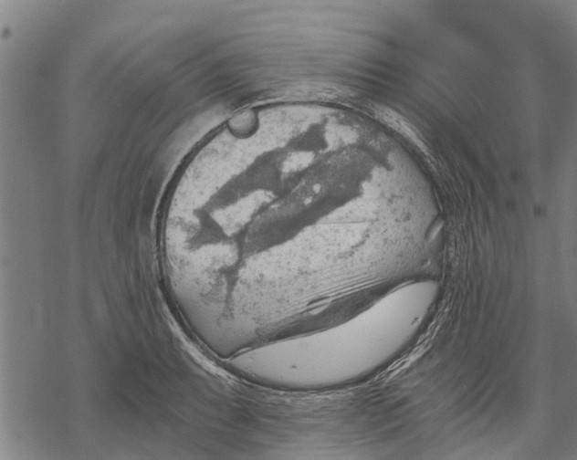 X0000068831087200605261609