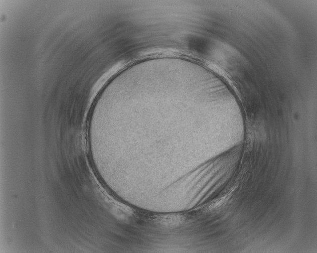 X0000068831090200605261609