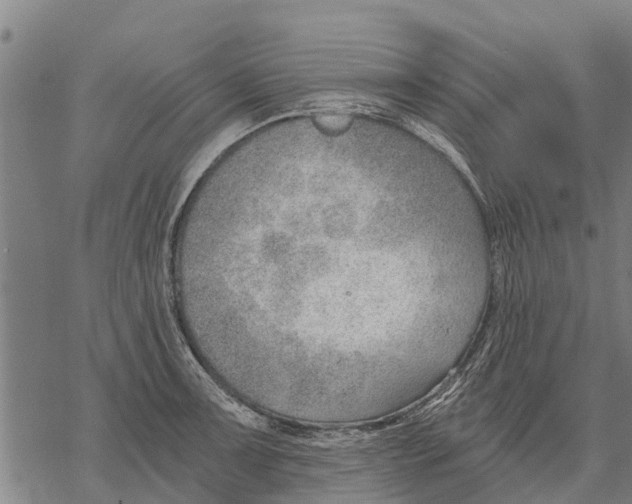 X0000068831091200605261609