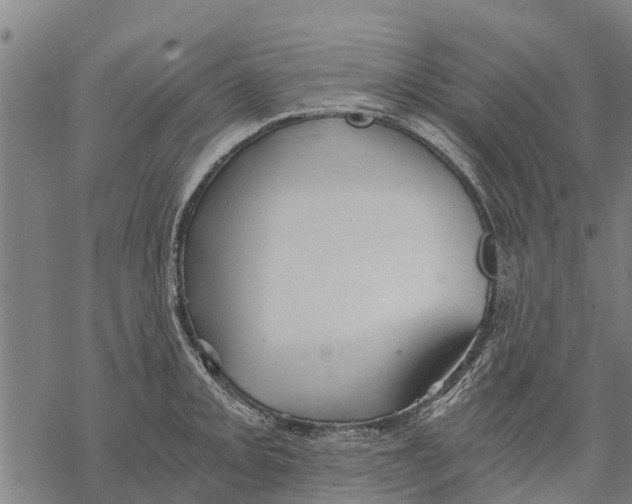 X0000068831093200605261609