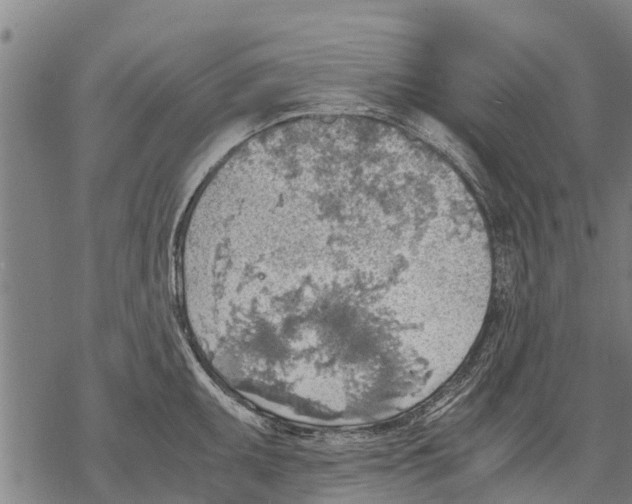 X0000068831095200605261609