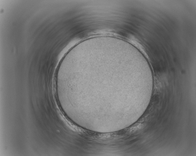 X0000068831098200605261609