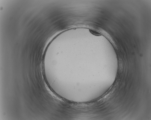 X0000068831100200605261609