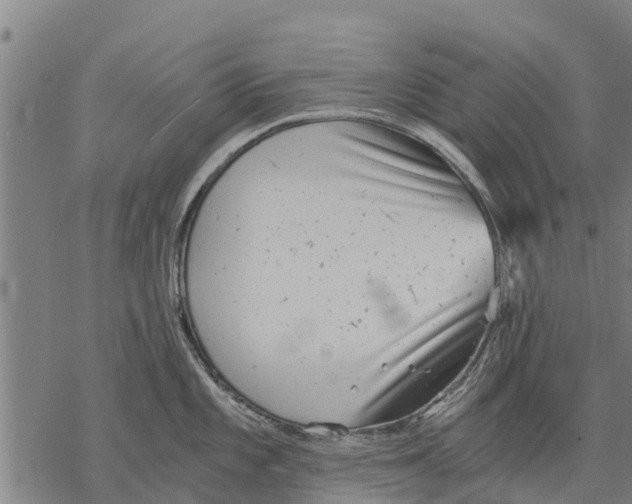 X0000068831101200605261609