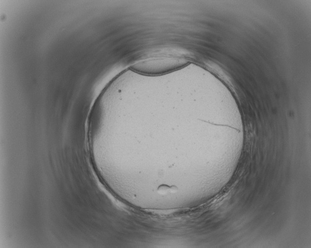 X0000068831103200605261609