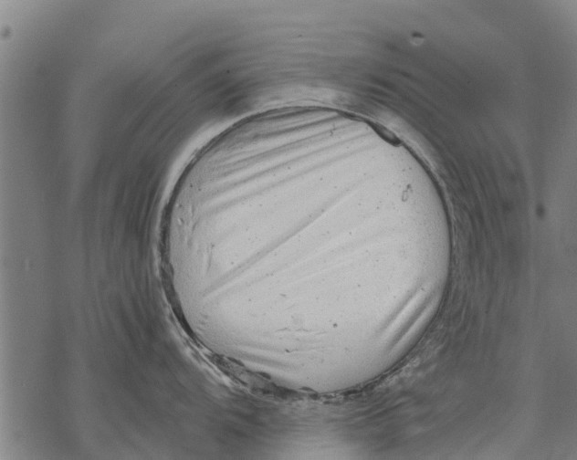 X0000068831104200605261609