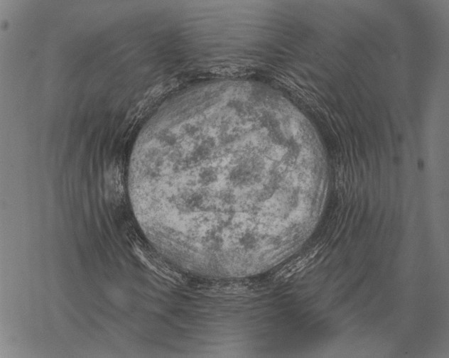 X0000068831106200605261608