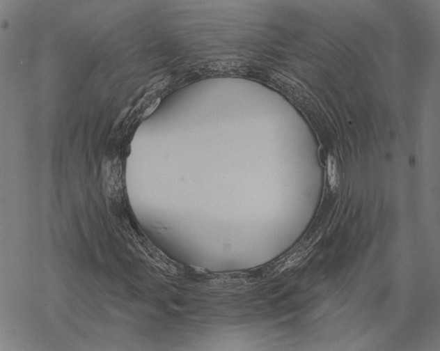 X0000068831107200605261608