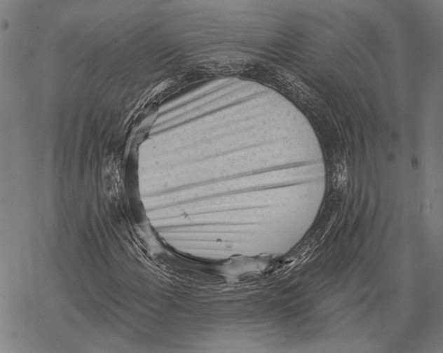 X0000068831108200605261608