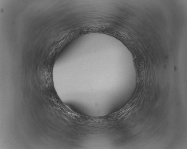 X0000068831109200605261608