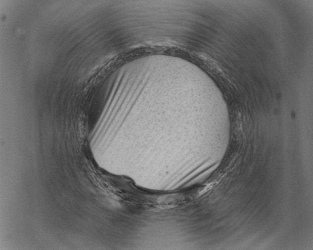 X0000068831110200605261608