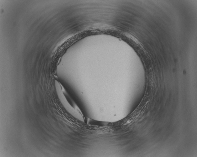 X0000068831112200605261608