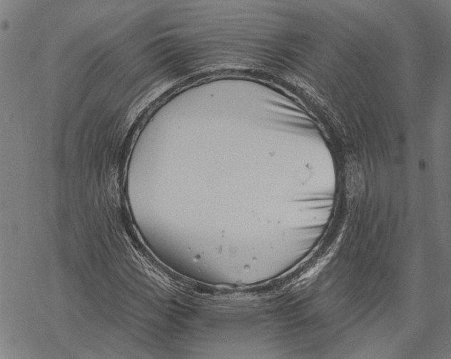 X0000068831113200605261608