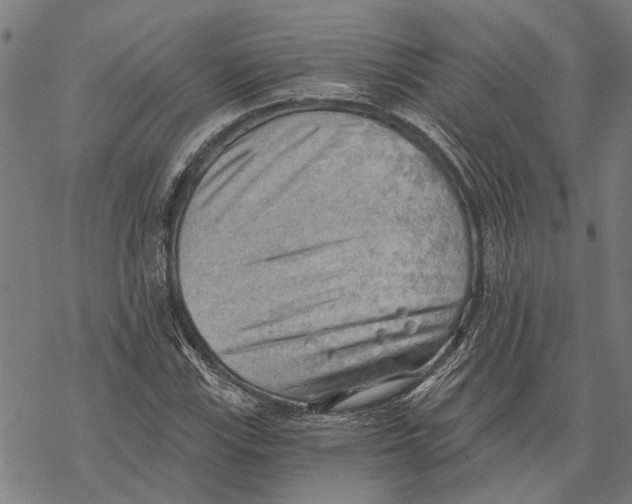 X0000068831115200605261608