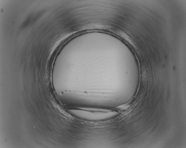 X0000068831116200605261608