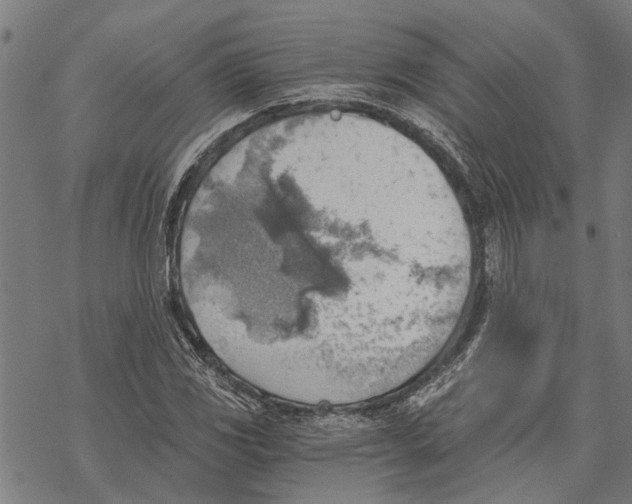 X0000068831117200605261608