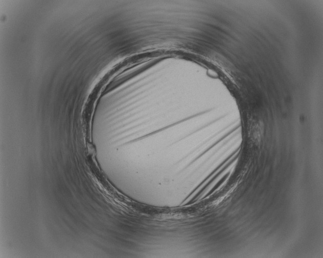 X0000068831118200605261608